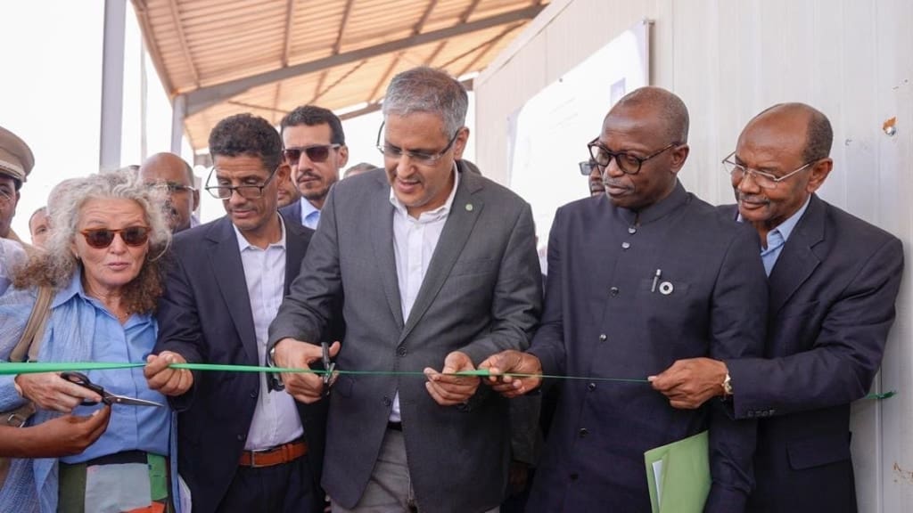 Lancement d’un programme d’électrification rurale au Hodh Chargui 