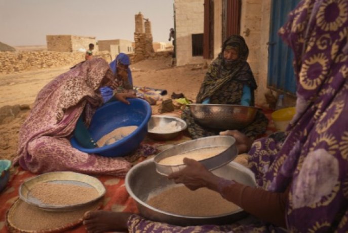 Entre dunes et montagne de Mauritanie, l'oasis de Maaden, utopie fraternelle 