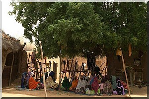 «Donaye», un autre «Timbuktu»