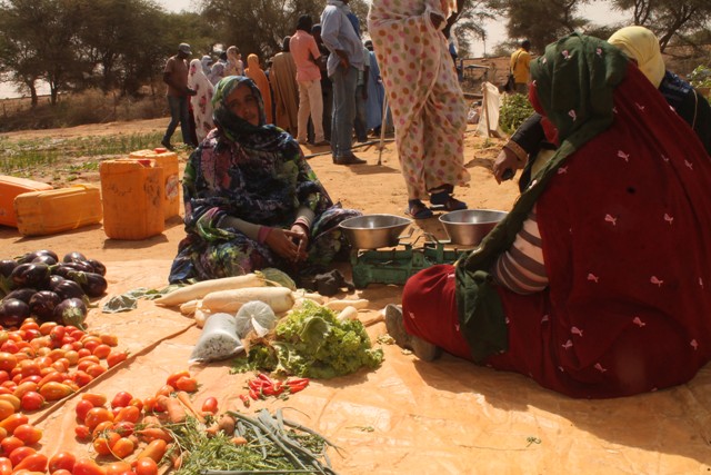 Boghé-ONG TENMIYA : visites sur les sites du projet 