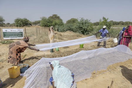 Promouvoir l'agroécologie pour une agriculture durable en Mauritanie par AMAD/CERAI
