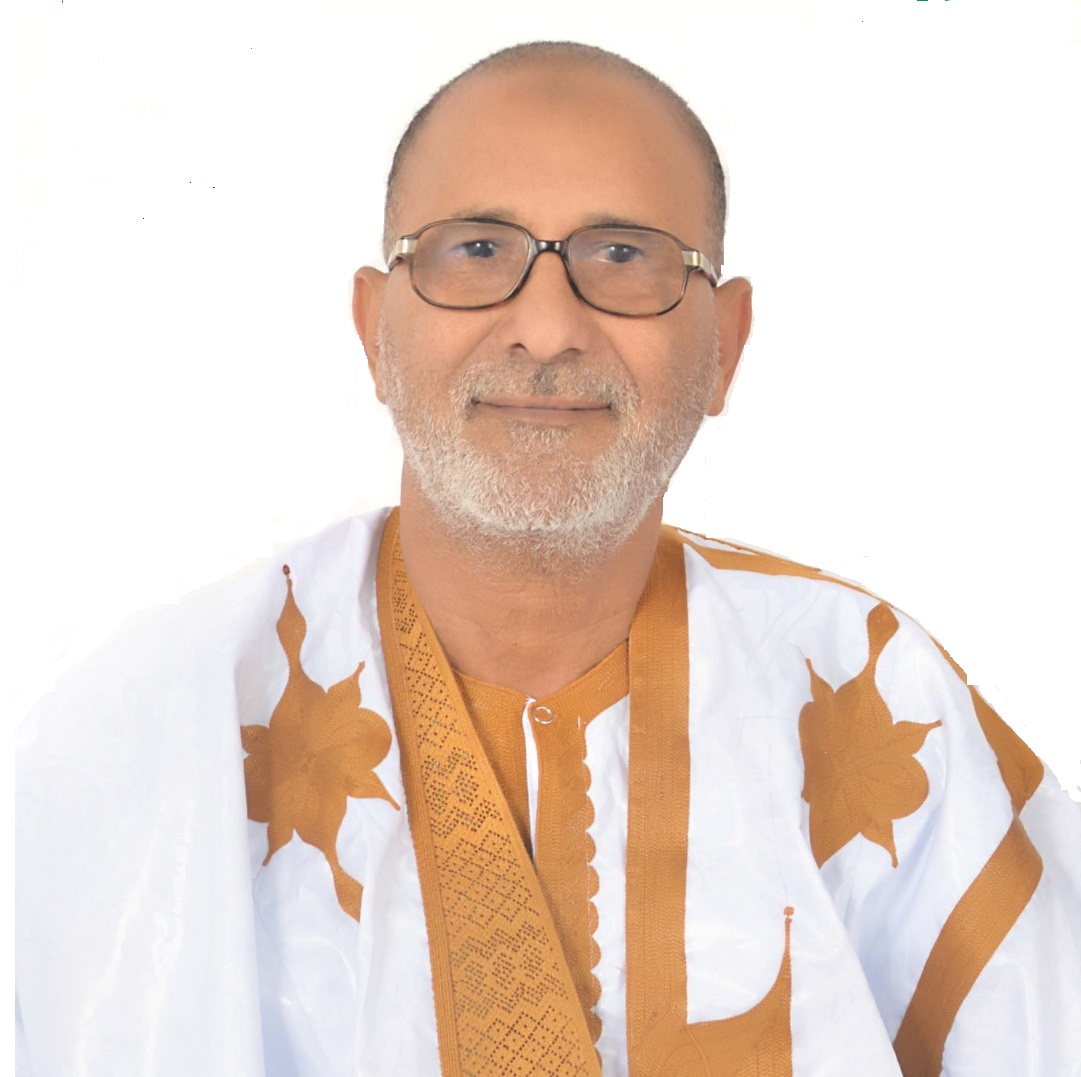 Mohamed El Moctar Mohamedou : la loi d’orientation apporte plus de complications pour l’école que de facilités aux familles