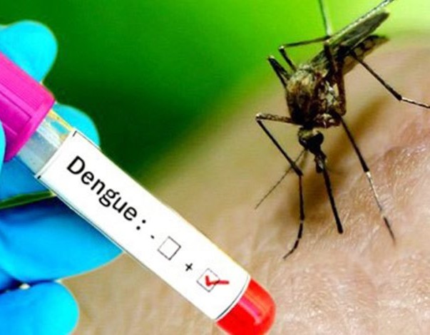 Mauritanie/ Alerte à la dengue: les États-Unis mettent en garde leurs ressortissants
