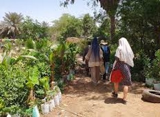 Vers un déguerpissement des exploitants des jardins maraichers de Sebkha