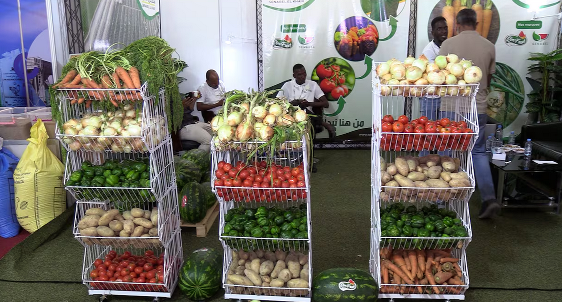 Expo 2025 de Nouakchott: de l’agriculture à la mécanique, le «made in Mauritanie» mis à l’honneur