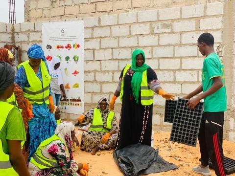 Formation en agroécologie : 20 femmes formées aux méthodes de production écologique à PK12