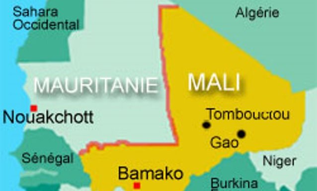 L’armée malienne accusée d’avoir tué sept civils dans la zone frontalière avec la Mauritanie et le Sénégal