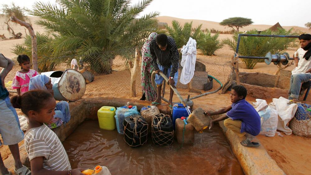 Vidéo. La « grande muraille verte » : en Mauritanie, la difficile lutte contre l’avancée du désert