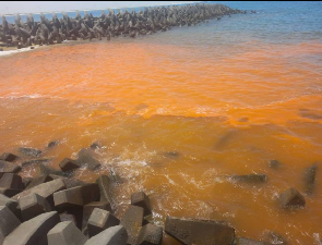 Environnement : Présence d’algues mortelles pour le poisson au PANPA