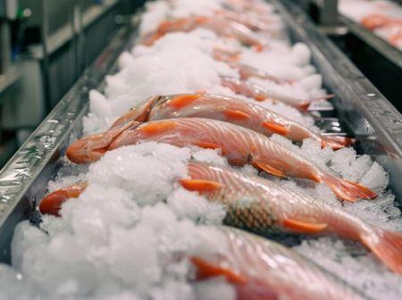 En Mauritanie, la pêche artisanale face au défi énergétique et au virage du renouvelable 