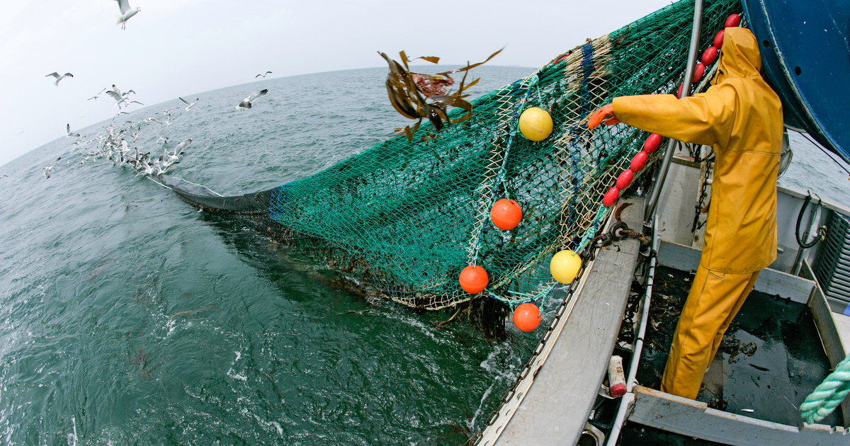 Contrôleurs de pêche : Quand les garde-côtes tergiversent