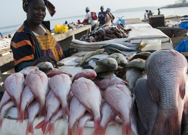 Un décret pour la valorisation des produits de la pêche
