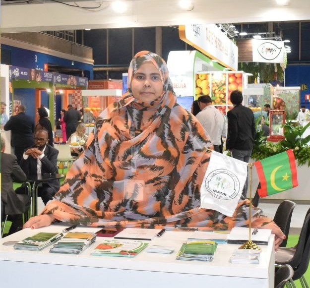 « Nous sommes mobilisés pour préparer le terrain et accueillir les investisseurs en Mauritanie »