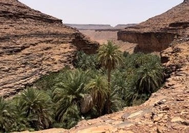 Vidéo. Terjitt... des moments de détente au cœur de la nature